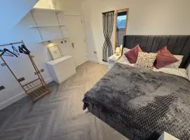 Luxurious house with rooms available to stay in London