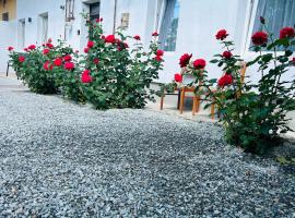 Nicotel, Hotel in Turda