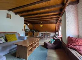 Appartement Cosy avec terrasse plein sud
