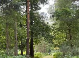Cobbett Hill Camping