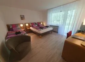 Haus Schanzenblick Gästezimmer8 für 3 Personen mit Bad und Terrasse