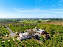 Triple-Unit Galt Escape Near Lodi Vineyards!