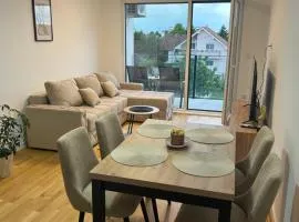 Airport Luxury Apartment Parking 6 Guests