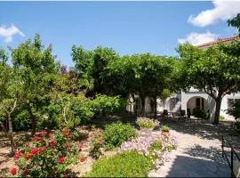 Anesis Studios & Apartments Plati Beach, Lemnos