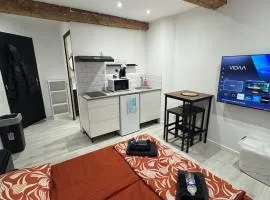 Les Perles de Limoux -Studio Centre Clim Wifi Parking Gratuit