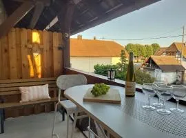AlsAppart, duplex climatisé à 5 min de Colmar