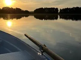 Słonecznikowe gniazdko