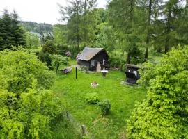 Idylissches Ferienhäusle im Thüringer Wald