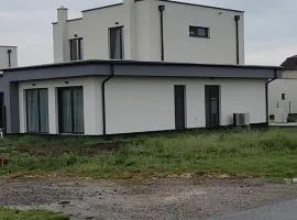 Zemira house