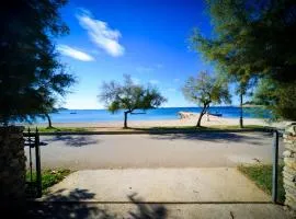 Mobile Homes Punta