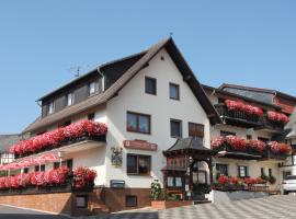 Landgasthof Hotel Sauer, viešbutis Vilingene