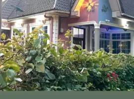 Kilimanjaro Forest Lodge and Camping Site