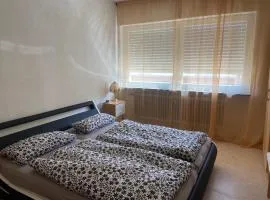 Ferienwohnung in Pirmasens, 1 bis 3 Personen, mit Wallbox