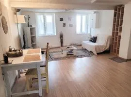 MIA CASA Charmant T2 cosy au cœur de Vienne-2 à 4 voyageurs