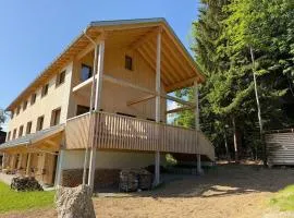 Dog-friendly holiday apartment in Bregenzerwald