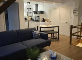 Charmant T3 rénové Garage à 50m du Château de Valençay Beauval 25 min