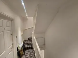 Nice House
