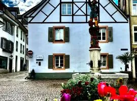 Charmante stilvolle Wohnung in schöner Altstadt
