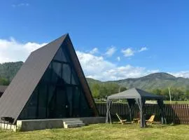 Sunshine Borjomi