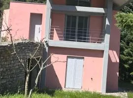 Seta Forest House