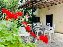Cozy - Jardin - Terrasse ombragée
