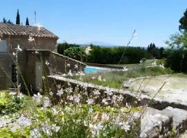 Sous Les Figuiers Du Voyageur