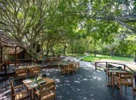 Kosi Forest Lodge