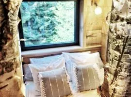 lodge 2 - les jolis chalets