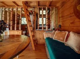 lodge 1 - les jolis chalets