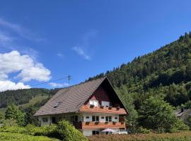 Geißentalblick Menzenschwand Ruhe, Natur & Infrarot โรงแรมในซังคท์บลาเซียน