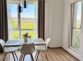 Chindia Park Lake Apartment