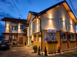 Apartmani Hena