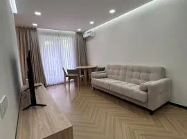 Modern Apt