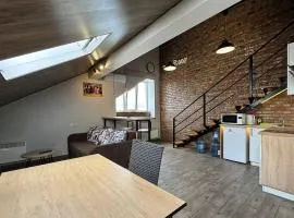 ApartPoltava Panoramic LOFT Дворівнева мансарда з виходом на терасу