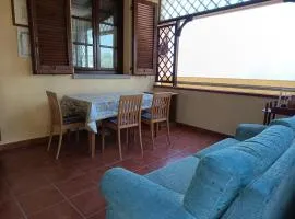 Appartamento i gatti