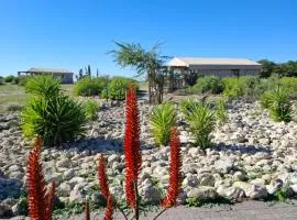 Thali Thali Game Lodge