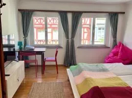 Altstadt - gemütliches Stuckzimmer mit Badezimmer und Küche