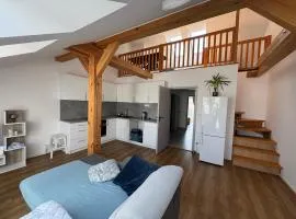 Central Loft Apartment Opava