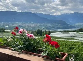 Casa Borghesi - Appartamenti vista lago e Dolomiti