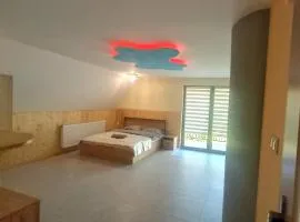 Apartamenty u Władka