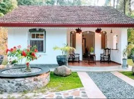 Calm Villa