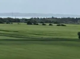 Skovhus med udsigten