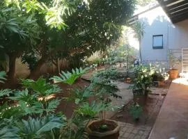 My Serenity Guesthouse