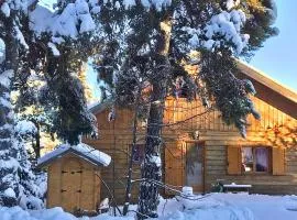 Un Chalet à la Montagne