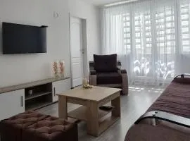S Apartman Vrdnik
