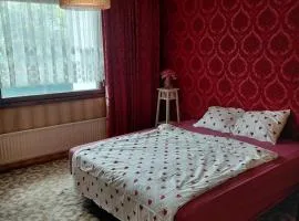 Guest room in Retro House