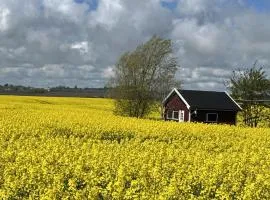 Stuga nära havet