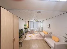 Silver Studio 901