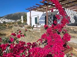 Apollon-Artemis Apartments, hotel i Apollonía