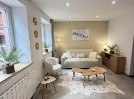 Appartement cosy 4 pers Centre Haguenau